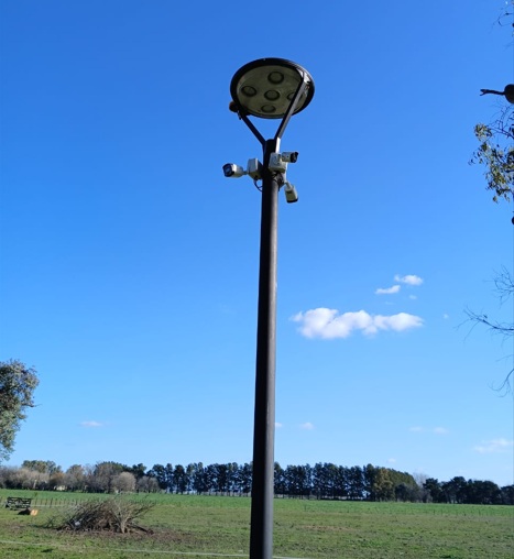 Sector de pileta con vigilancia